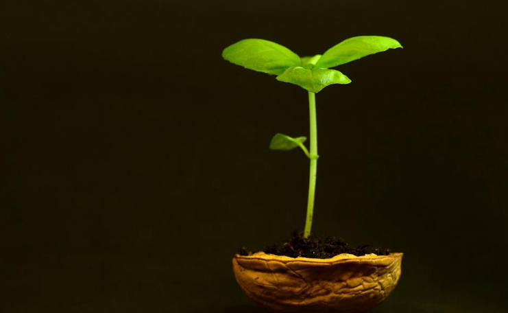 4大政策利好來了，2019年環(huán)保迎來“第二春”